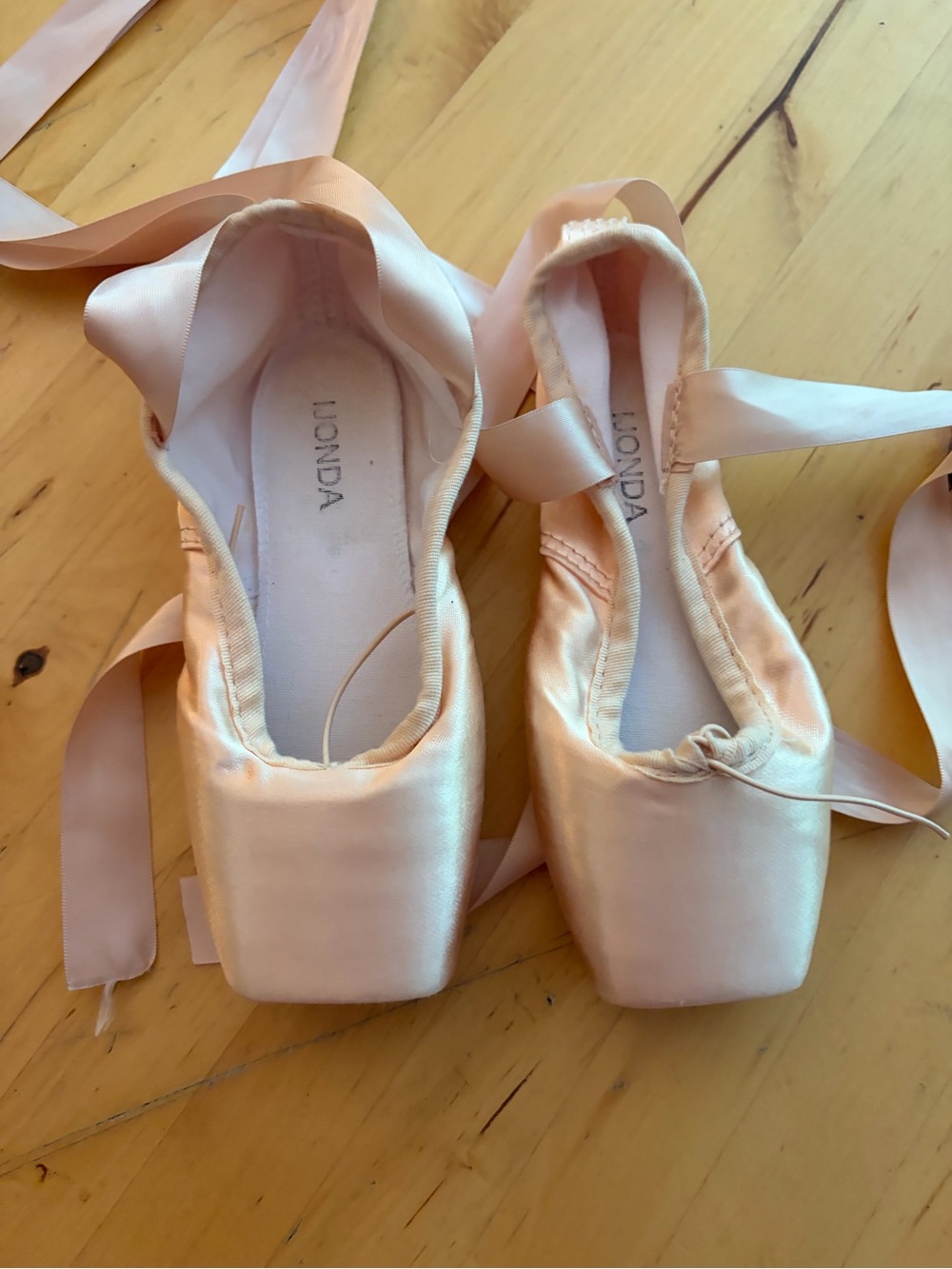 Girls’s Satin Pointe Ballet Shoes in Blush